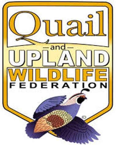 Image for 40th Annual Jayhawk Chapter Quail Banquet & Auction