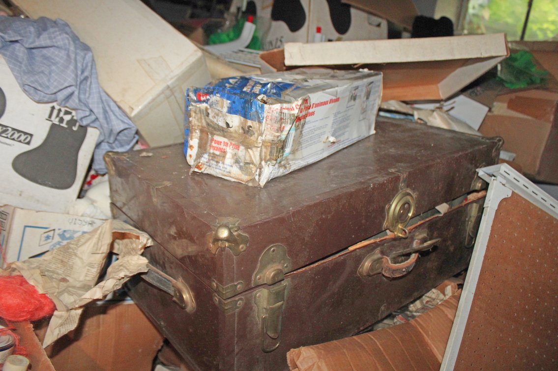 Image for TREASURE HUNT ESTATE AUCTION