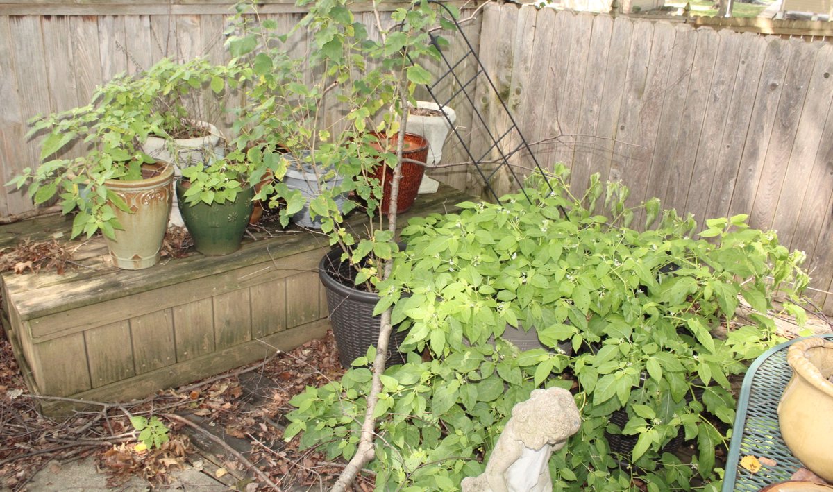 Image for EMERGENCY ESTATE AUCTION