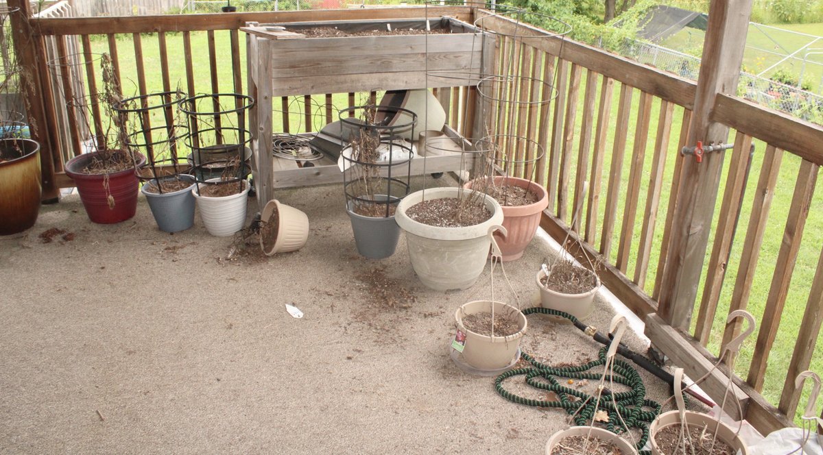 Image for LIVING ESTATE AUCTION