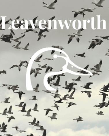 Image for Leavenworth Ducks Unlimited Guns & Gear Bash