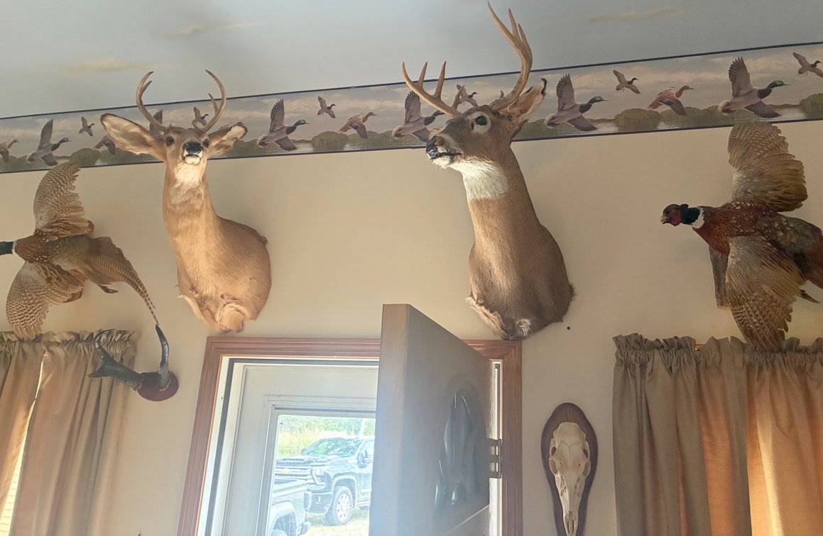 Image for ESTATE AUCTION