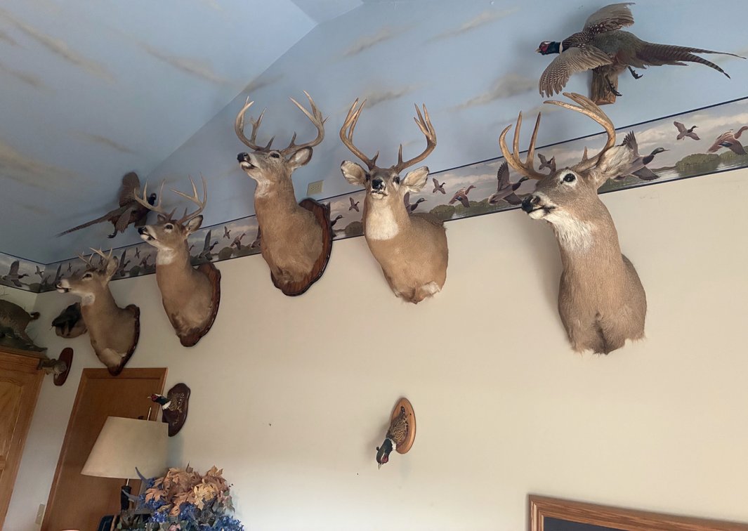 Image for ESTATE AUCTION