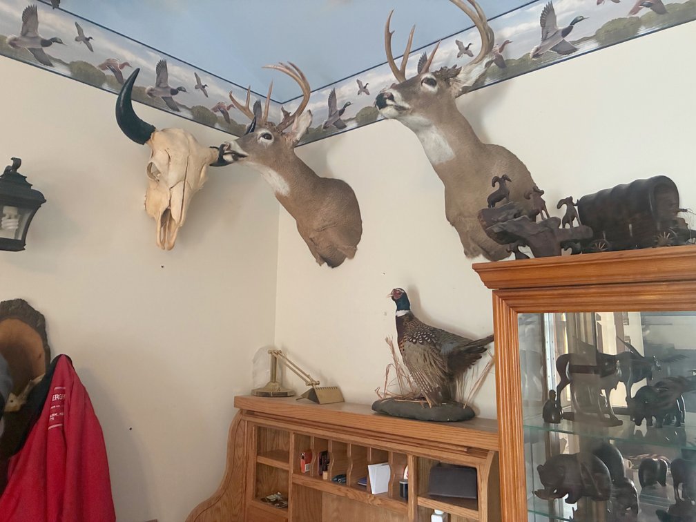 Image for ESTATE AUCTION