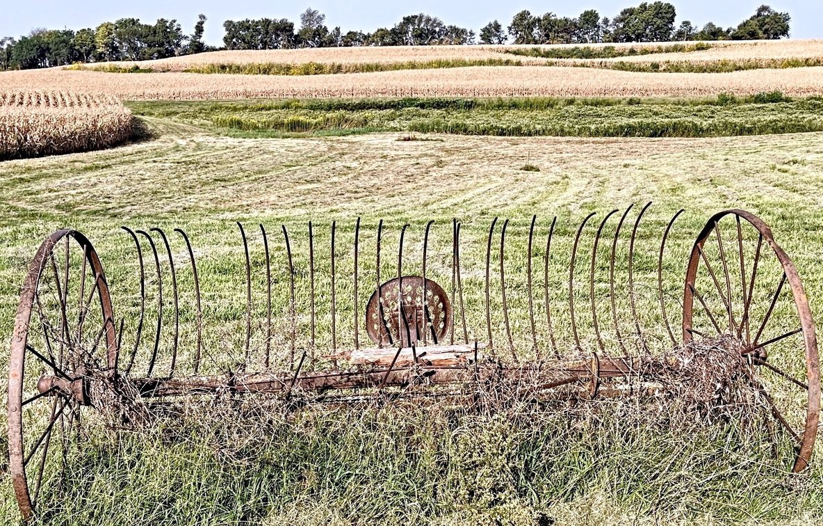 Image for FARM AUCTION