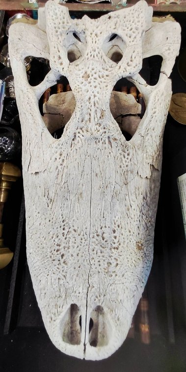Image for 2-DAY ANTIQUE STORE LIQUIDATION AUCTION