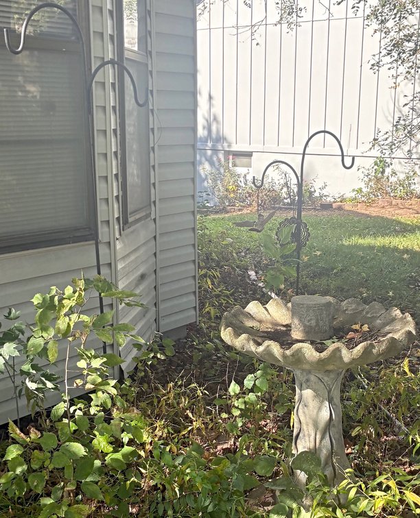 Image for ESTATE AUCTION