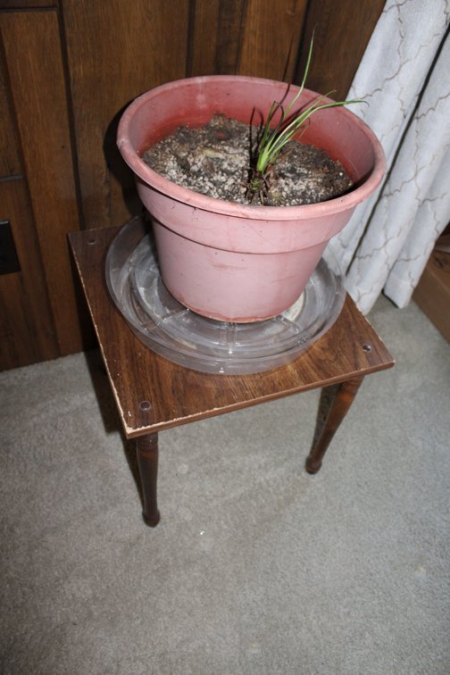 Image for LIVING ESTATE AUCTION