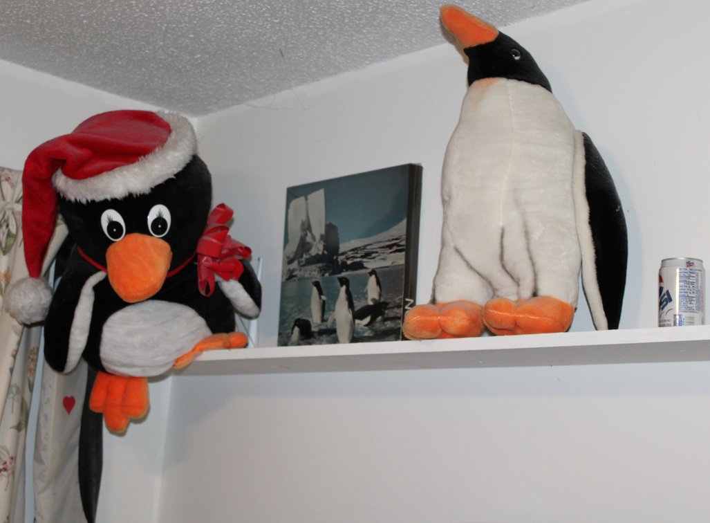 Image for SPECIAL BLACK FRIDAY ESTATE AUCTION