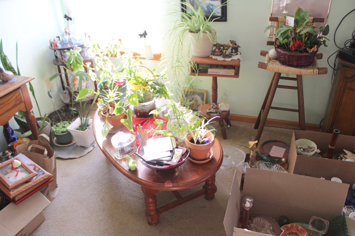 Image for ESTATE AUCTION