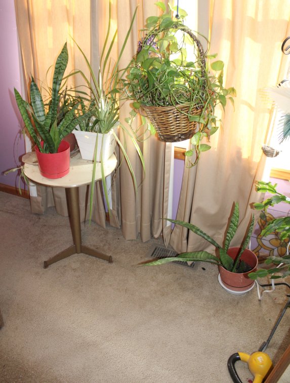 Image for ESTATE AUCTION