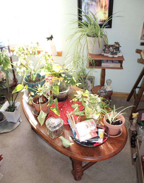 Image for ESTATE AUCTION