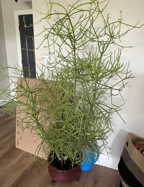 Image for SHORT NOTICE LIVING ESTATE AUCTION