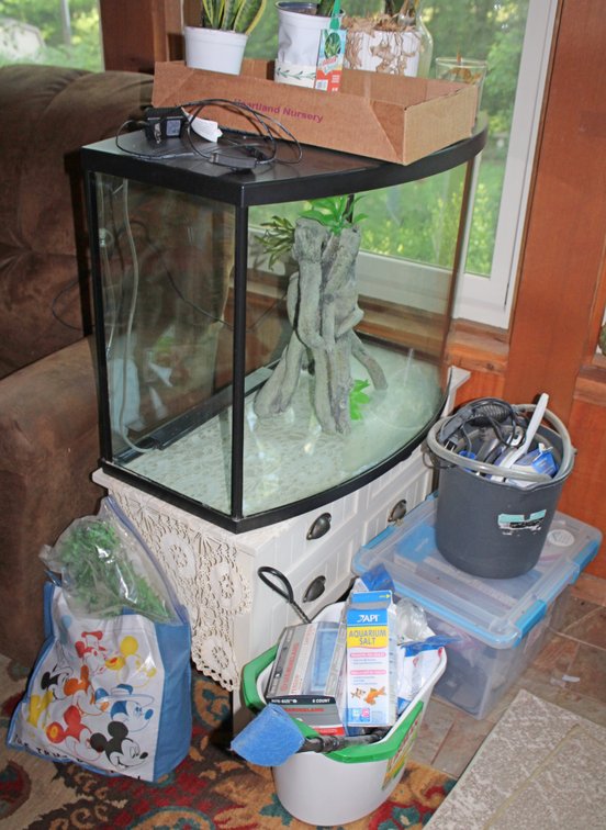 Image for HUGE 2-RING ESTATE AUCTION