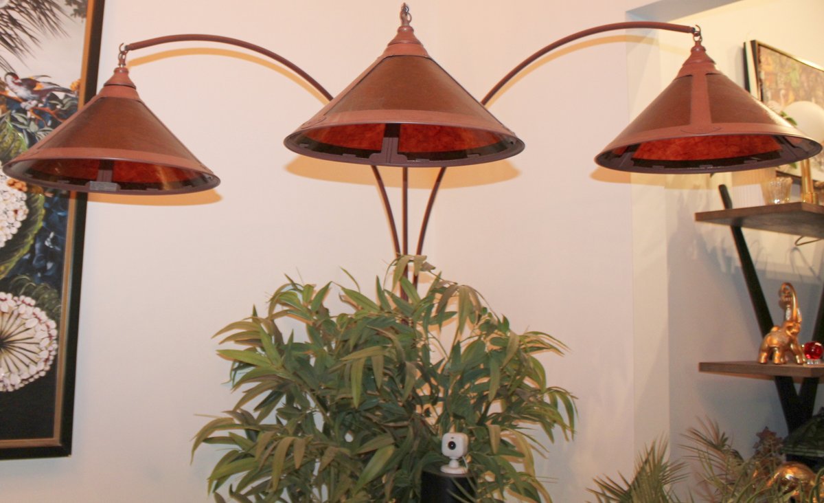 Image for HIGH END LIVING ESTATE AUCTION