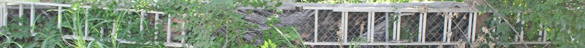 Image for ESTATE AUCTION