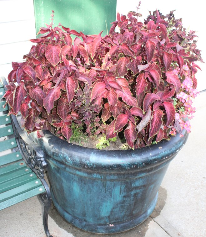 Image for ESTATE AUCTION