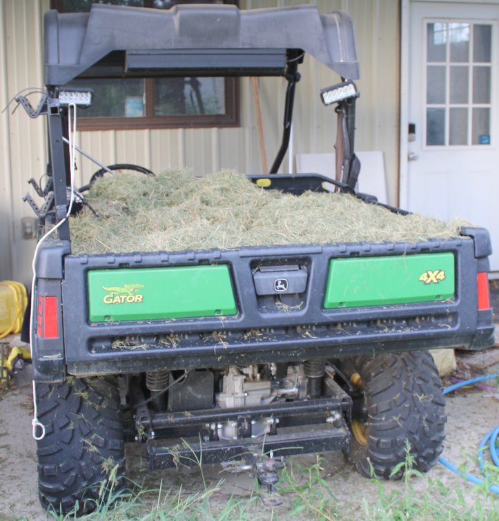 Image for FARM AUCTION