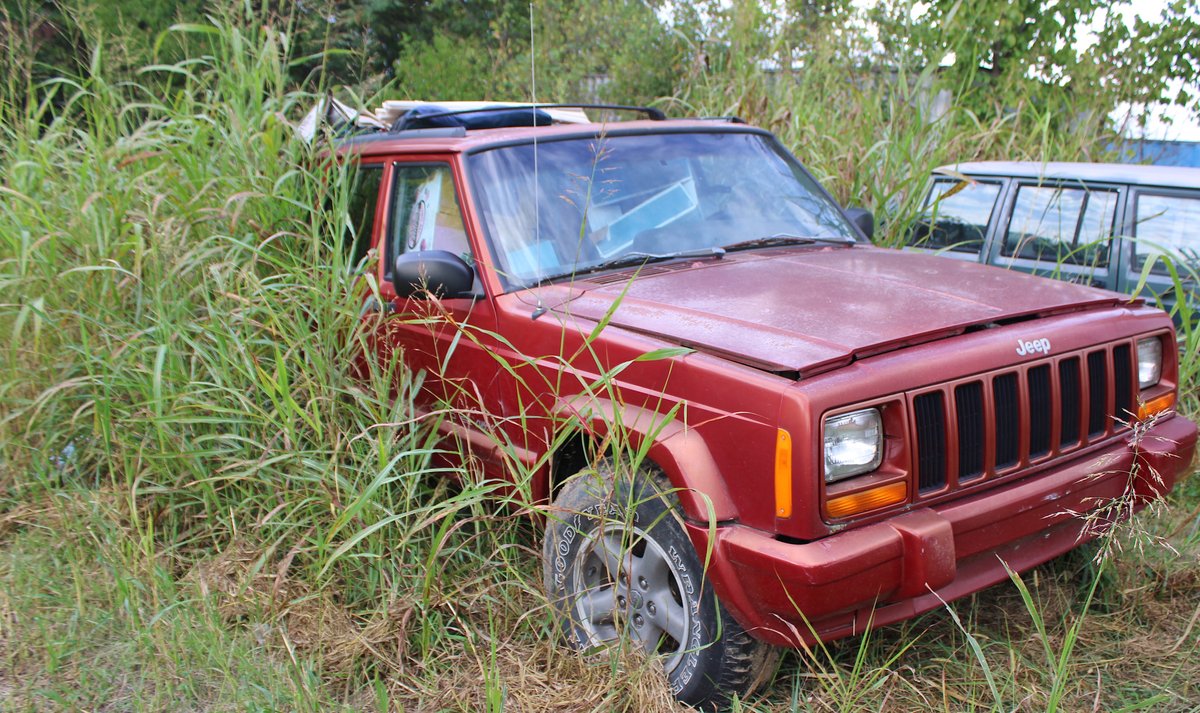 Image for MASSIVE 2-DAY ESTATE AUCTION