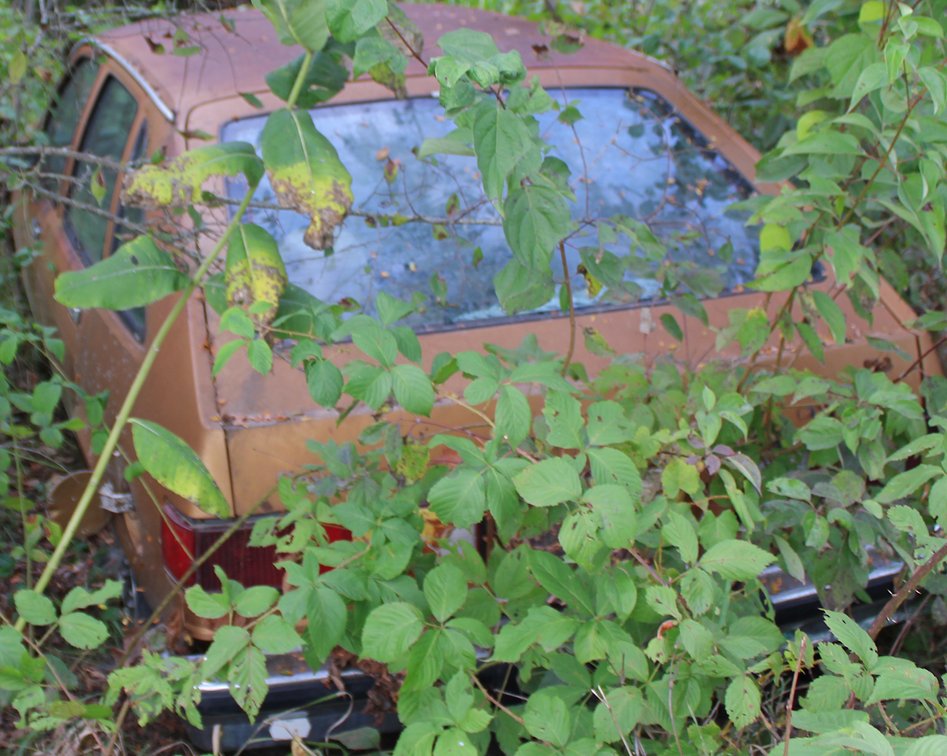 Image for MASSIVE 2-DAY ESTATE AUCTION