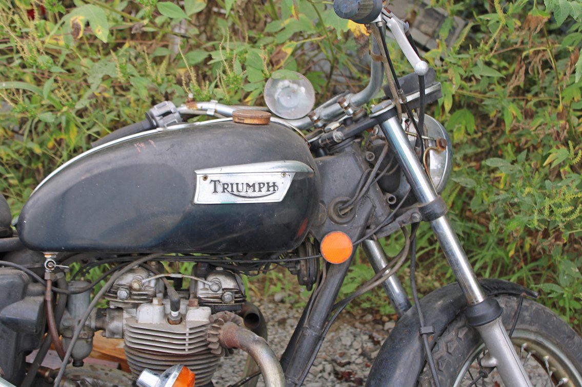 Image for MASSIVE 2-DAY ESTATE AUCTION