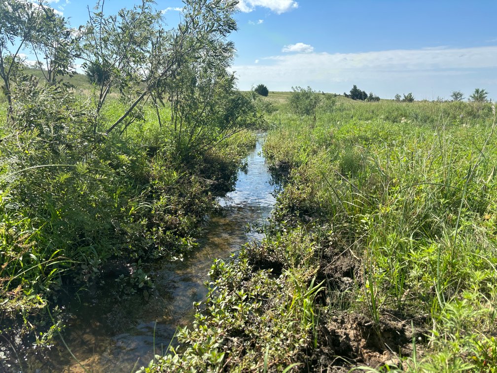 Image for 80+/- Acres in Northeastern Holt County, NE