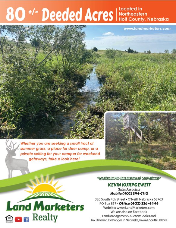 Image for 80+/- Acres in Northeastern Holt County, NE
