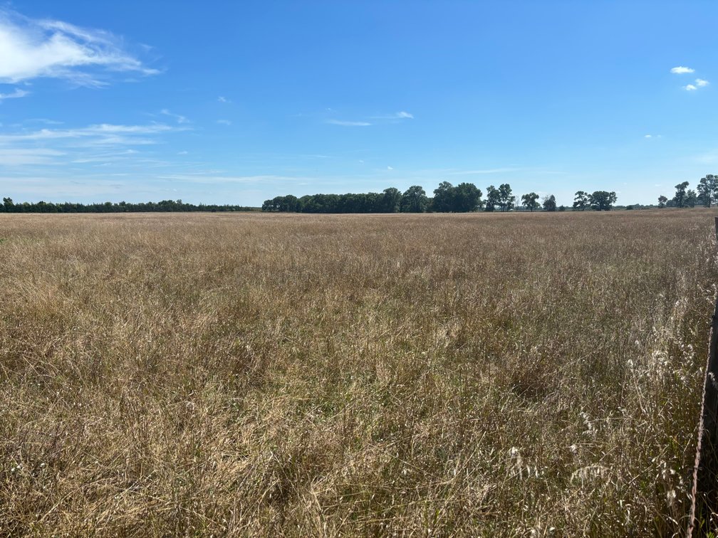 Image for 35.01+/- Deeded Acres in Holt County, NE located South of Page