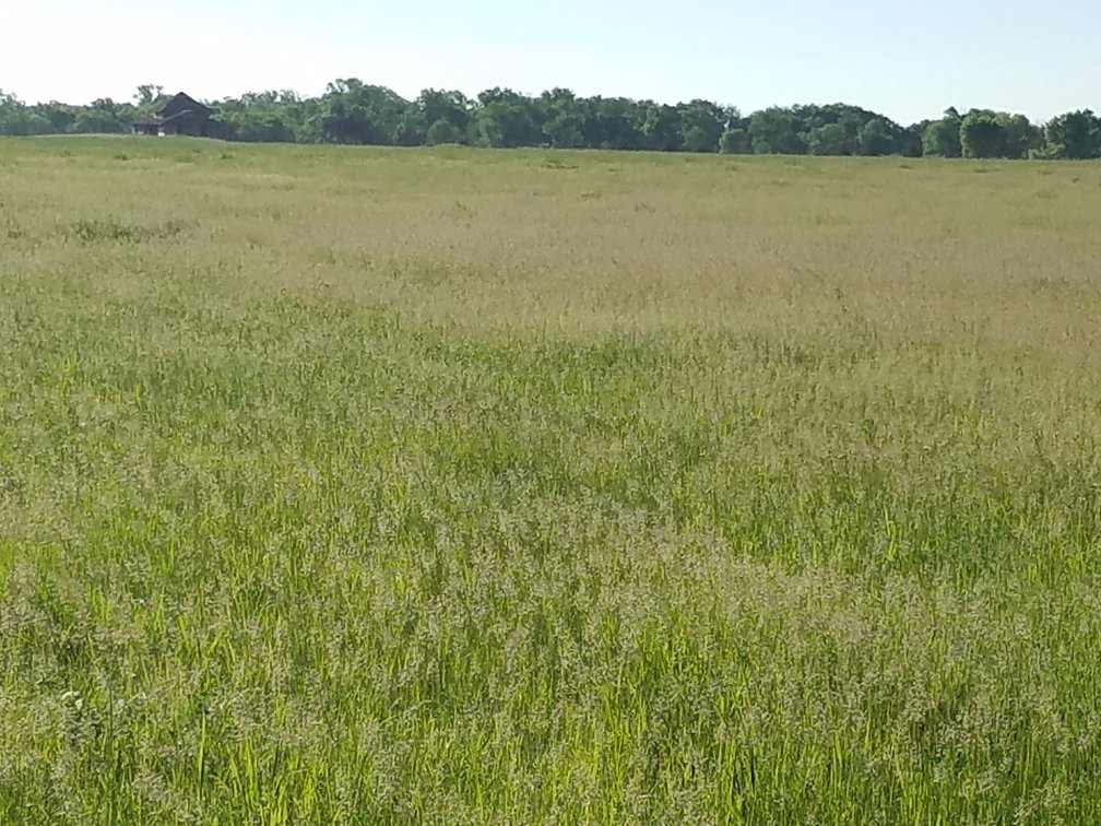 Image for 2,586.17+/- Acres in Holt County, NE Offered in 2 Tracts