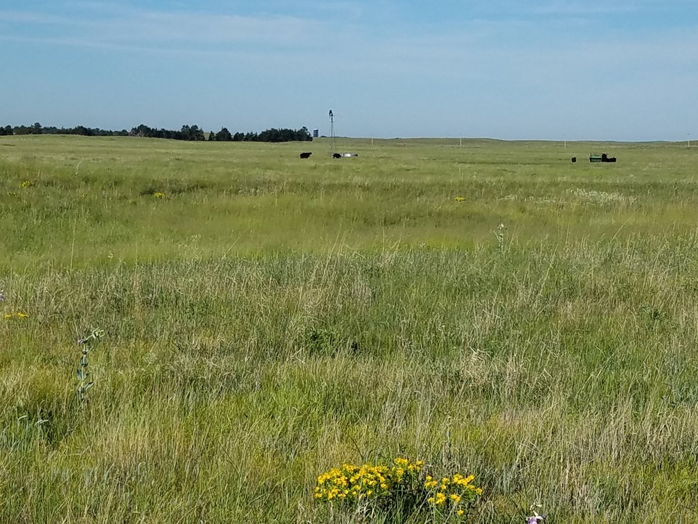 Image for 2,586.17+/- Acres in Holt County, NE Offered in 2 Tracts