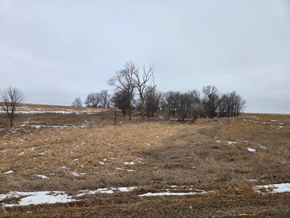 Image for 160+/- Acres in Boyd County, NE