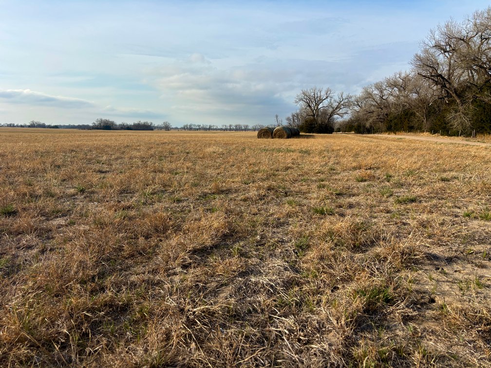 Image for Ziems Farm LLC 80+/- Acres Online Auction ONLY