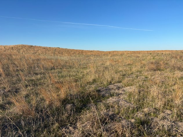Image for 479.49+/- Acres in Holt County, NE
