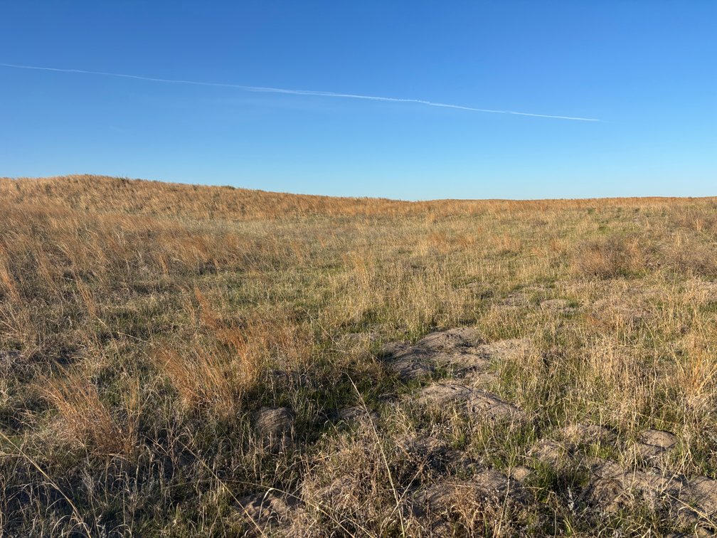 Image for 479.49+/- Acres in Holt County, NE