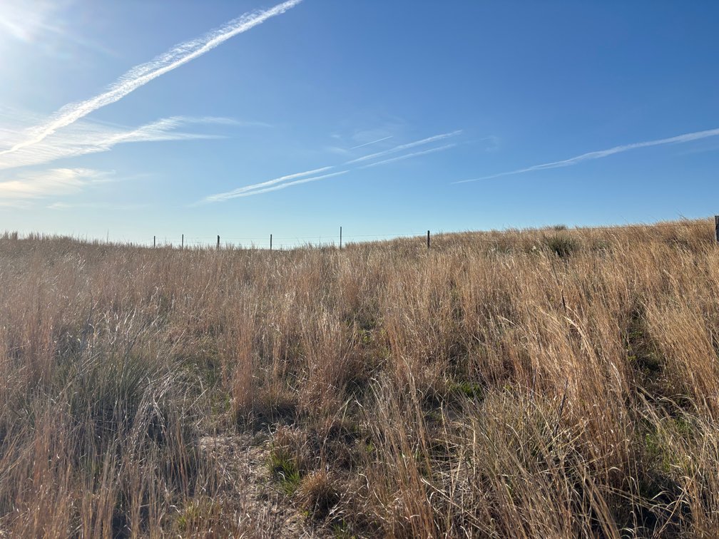 Image for 479.49+/- Acres in Holt County, NE