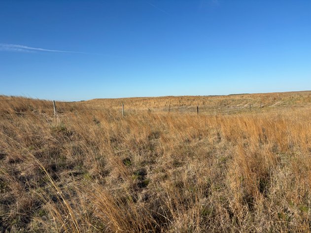 Image for 479.49+/- Acres in Holt County, NE