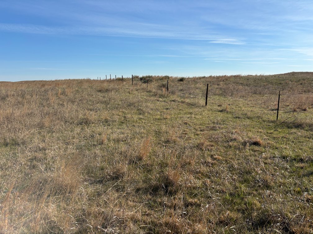Image for 479.49+/- Acres in Holt County, NE