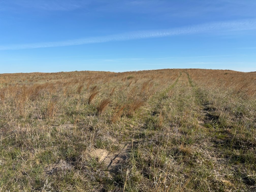 Image for 479.49+/- Acres in Holt County, NE