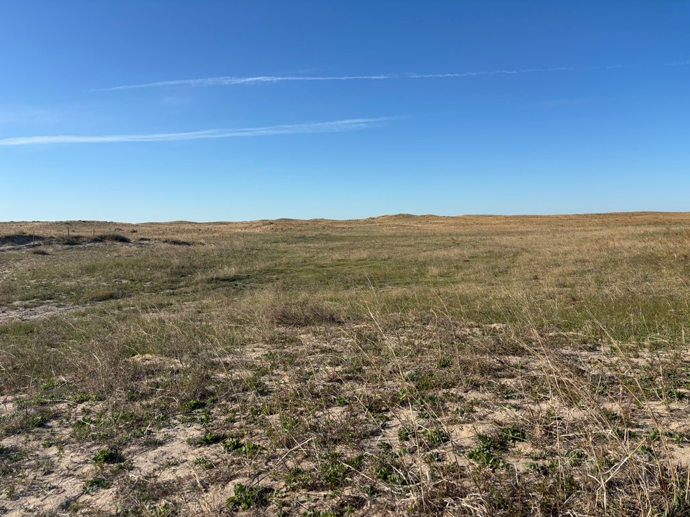 Image for 479.49+/- Acres in Holt County, NE