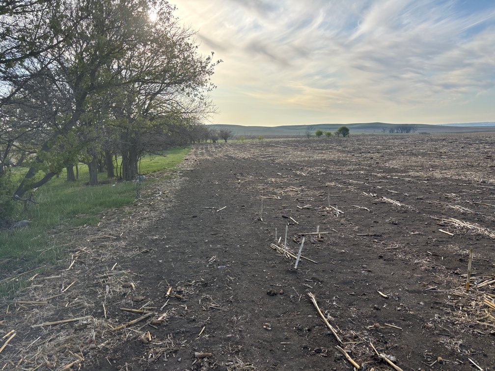 Image for 160+/- Acres in Charles Mix County, South Dakota >>>Online ONLY Real Estate Auction