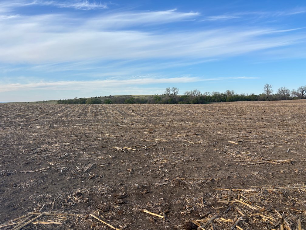 Image for 160+/- Acres in Charles Mix County, South Dakota >>>Online ONLY Real Estate Auction