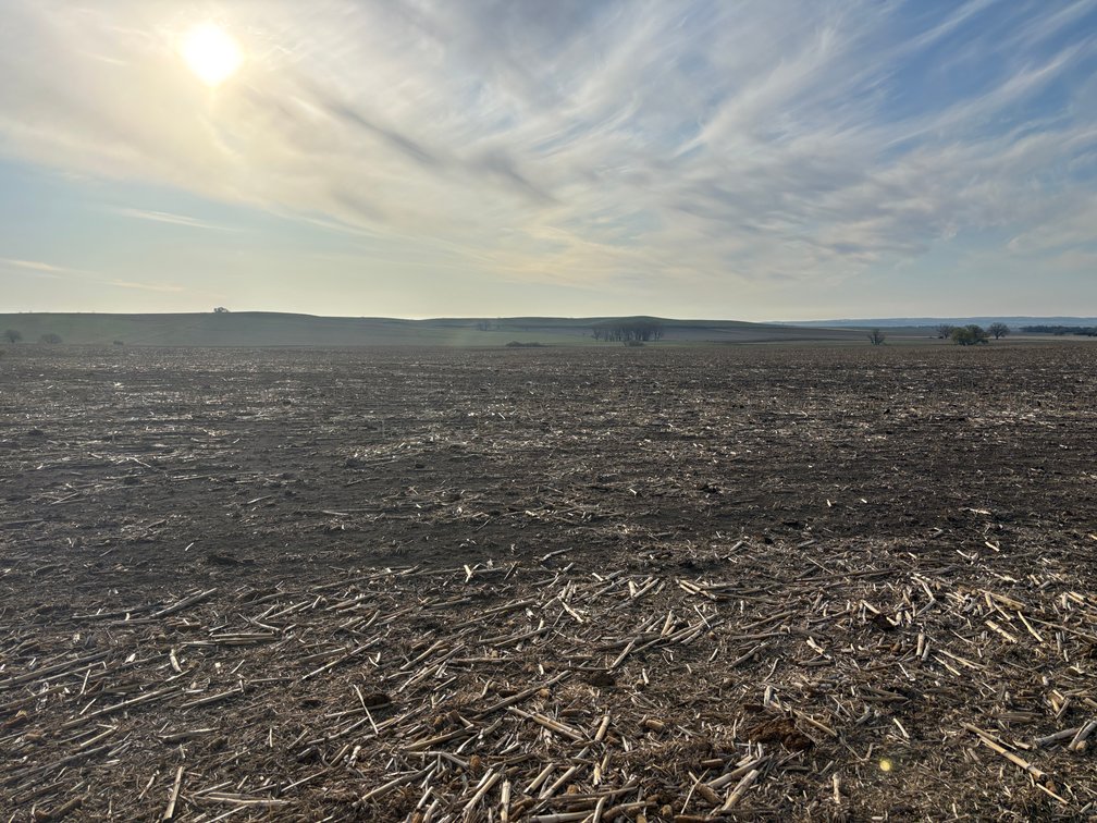 Image for 160+/- Acres in Charles Mix County, South Dakota >>>Online ONLY Real Estate Auction