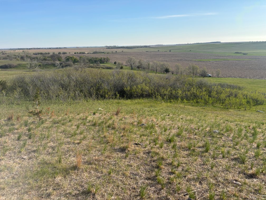 Image for 160+/- Acres in Charles Mix County, South Dakota >>>Online ONLY Real Estate Auction