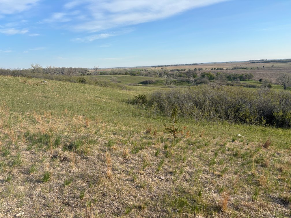 Image for 160+/- Acres in Charles Mix County, South Dakota >>>Online ONLY Real Estate Auction