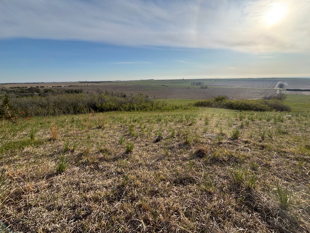 Image for 160+/- Acres in Charles Mix County, South Dakota >>>Online ONLY Real Estate Auction