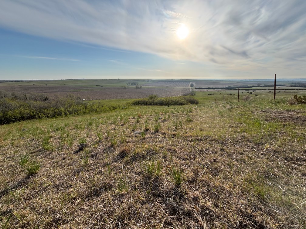 Image for 160+/- Acres in Charles Mix County, South Dakota >>>Online ONLY Real Estate Auction