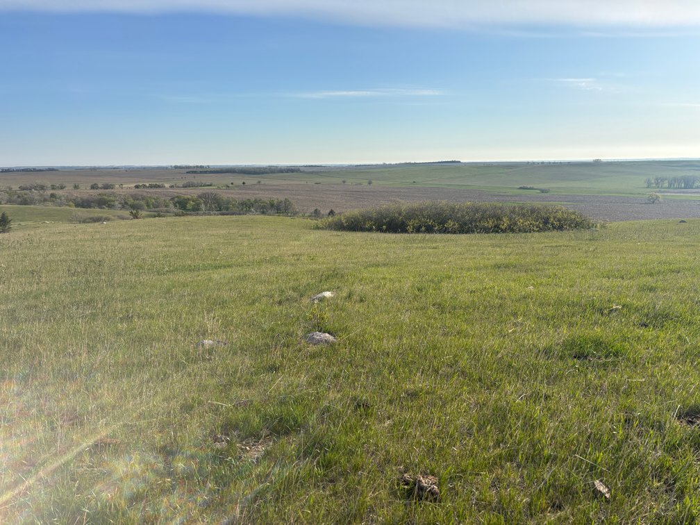 Image for 160+/- Acres in Charles Mix County, South Dakota >>>Online ONLY Real Estate Auction
