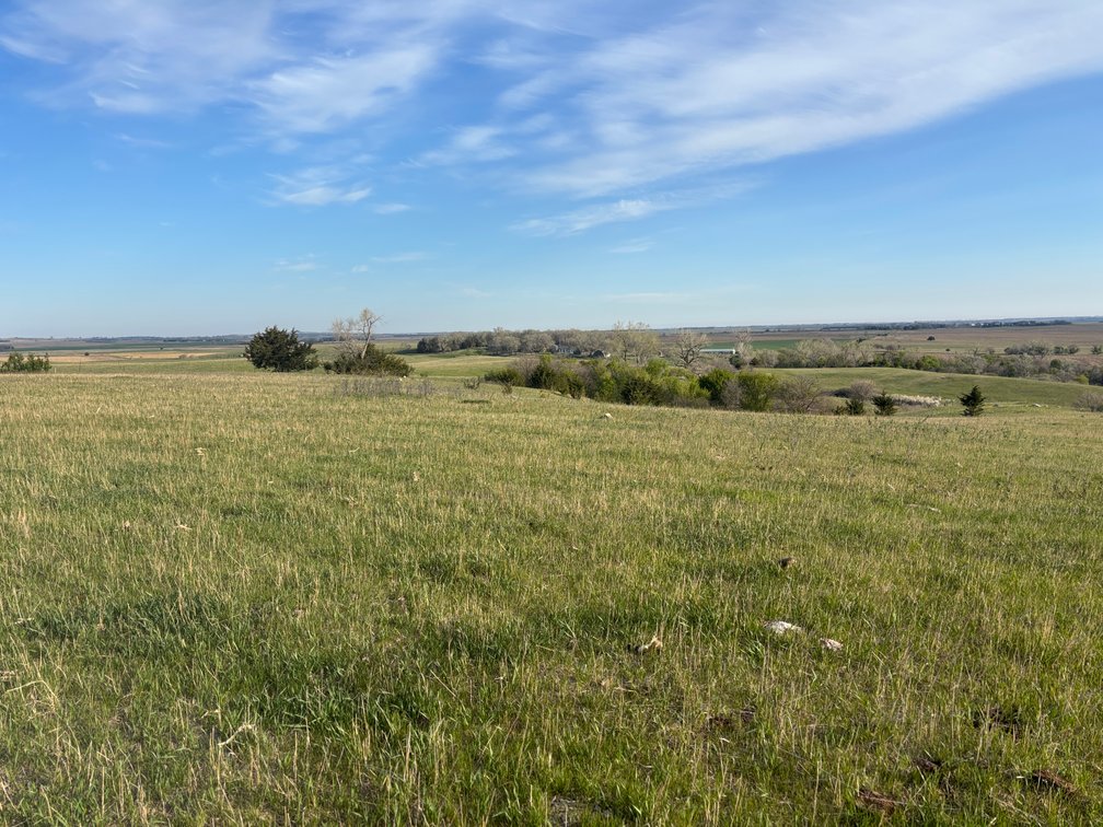Image for 160+/- Acres in Charles Mix County, South Dakota >>>Online ONLY Real Estate Auction