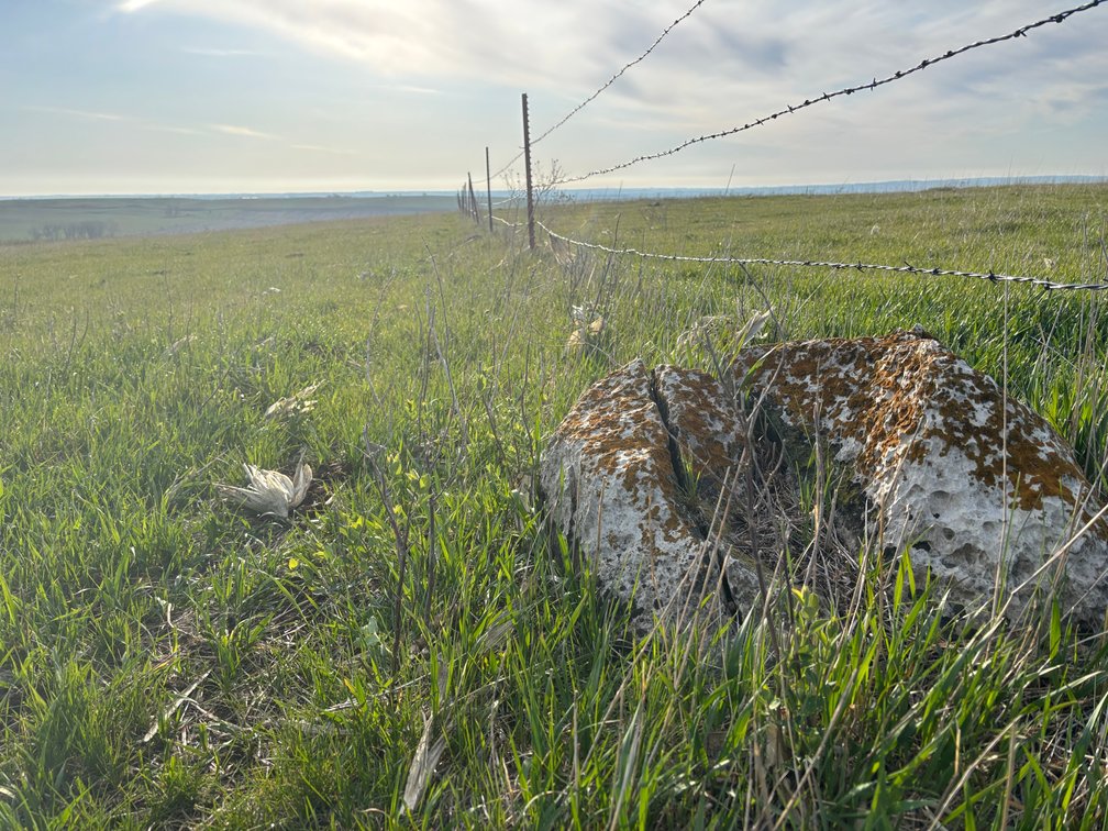 Image for 160+/- Acres in Charles Mix County, South Dakota >>>Online ONLY Real Estate Auction