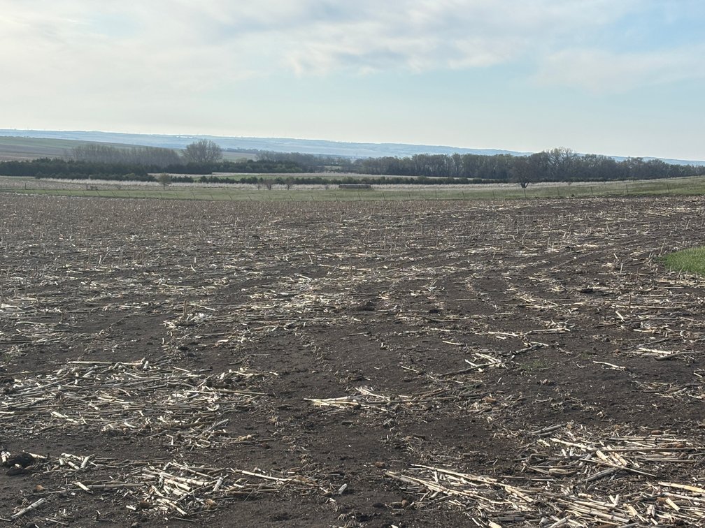 Image for 160+/- Acres in Charles Mix County, South Dakota >>>Online ONLY Real Estate Auction